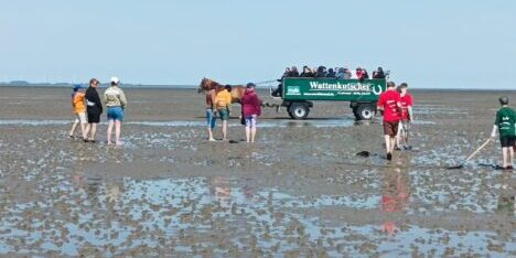 Im Watt Förderbericht